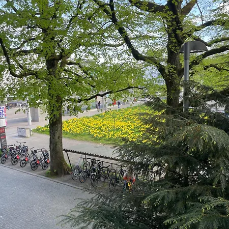 Zimmer Mit Privatem Badezimmer In Guter Lage Bern Exterior photo